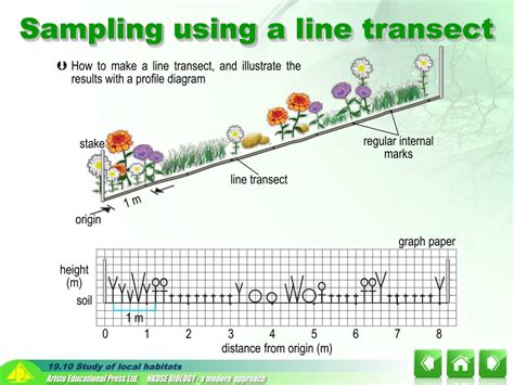 PPT - important component in studying ecology PowerPoint Presentation ...