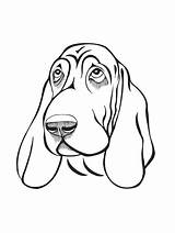 Dog Basset Coloring Pages sketch template