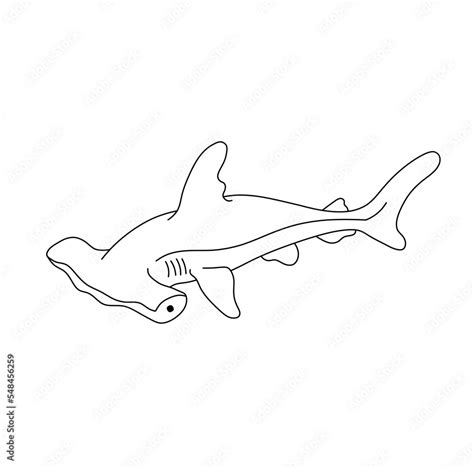 Vector isolated hammer fish winghead shark swimming floating underwater ...