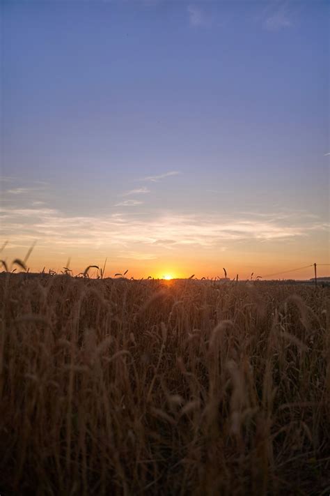 Sunrise Field Pictures | Download Free Images on Unsplash