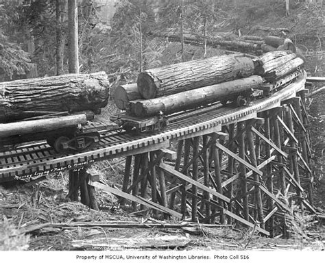 Skeleton railroad cars loaded with logs on trestle, West Fork Logging Company, Mineral, ca. 1935 ...