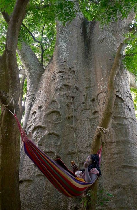 One of a kind destination venue - Beneath the Baobabs, Kilifi, Kenya