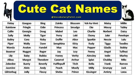 Most Popular Cute Cat Names - Vocabulary Point