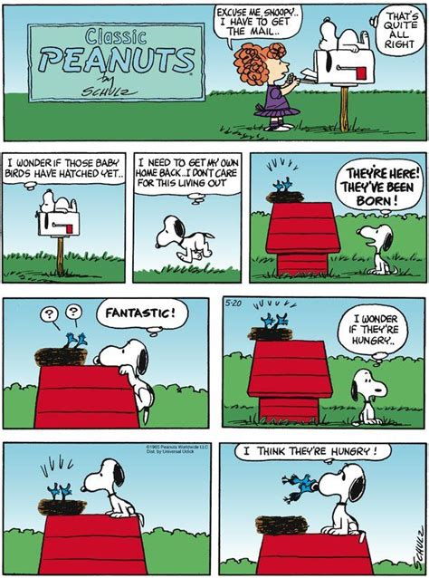 Classic Peanuts - 5/20/2012 Peanuts Snoopy Comics, Snoopy Cartoon, Peanuts Cartoon, Peanuts Gang ...