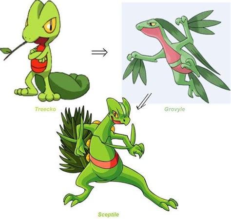 Treecko Evolution | Pokemon treecko, Gaming tattoo ideas, Original pokemon