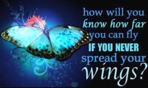 Quotes About Butterfly Wings. QuotesGram