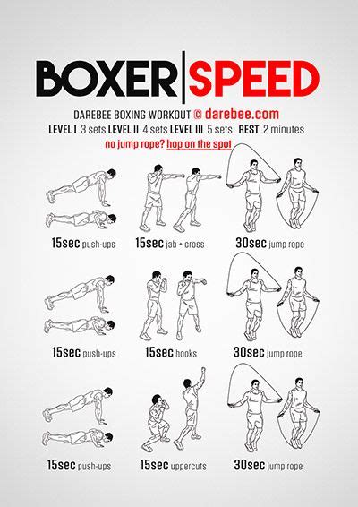 Fitness Training: Boxer Speed Workout More