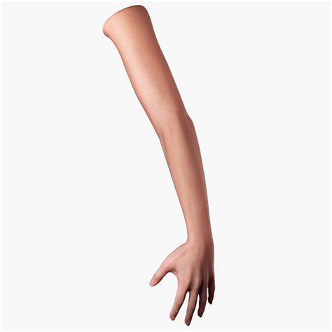 3dsmax female arm