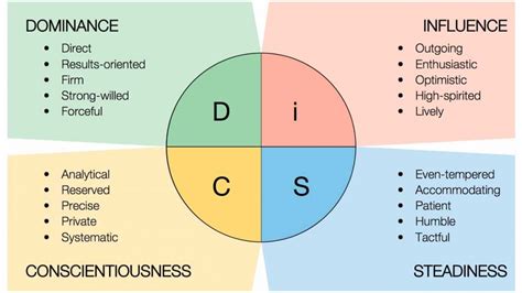 DISC Profiling