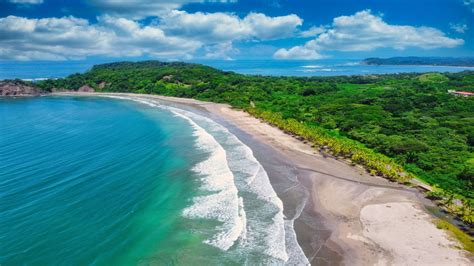 Your Ultimate Guide to Playa Grande, Costa Rica - Bookaway