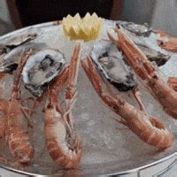 Iraq Lobster GIFs - Find & Share on GIPHY