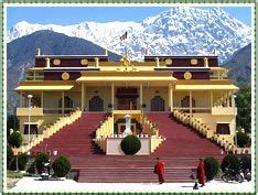 Dharamsala - Home to his holiness The Dalai Lama. Visit some amazing Monasteries