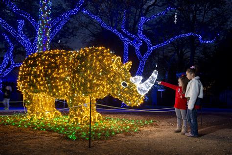 Zoo Lights is Back - San Antonio Magazine