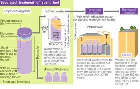 Radioactive Waste Effects on Environment