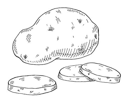 Patate intere e affettate. illustrazione nera monocromatica da cova ...