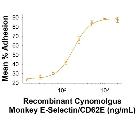 Recombinant Cynomolgus E-Selectin/CD62E Fc Protein, CF 11308-ES-100: R ...