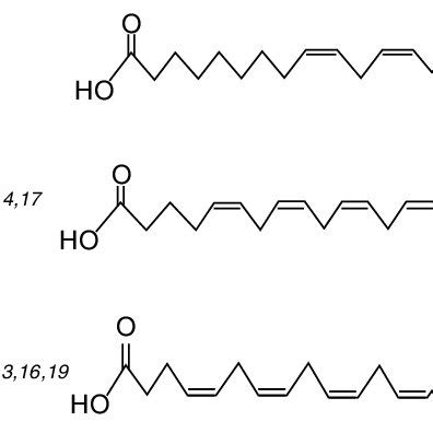 Chemical Structure of Omega Fatty Acids. | Download Scientific Diagram