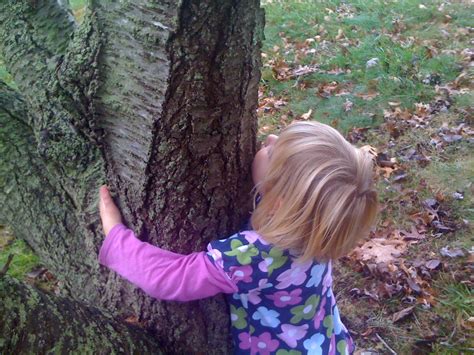 Tree hug | Asparagus was putting "band-aids" on the trees "b… | Flickr