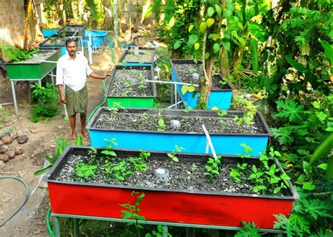 A Village Finding Future in Aquaponics - SLSV - A global media & CSR consultancy network