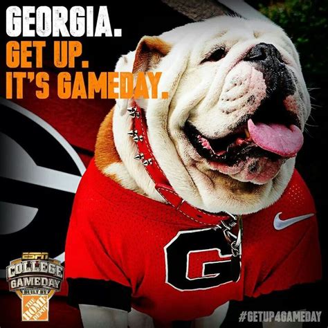 176 best images about Go DAWGS! on Pinterest | Sec football, Football ...