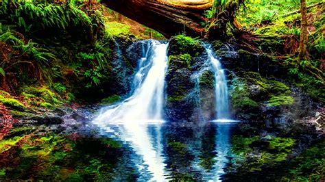 Waterfall In Serene Forest Live Wallpaper - MoeWalls