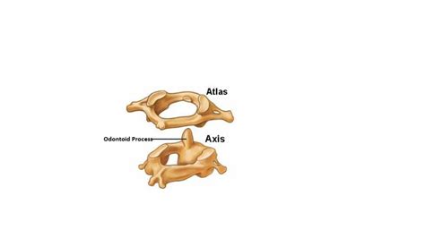 Axis is different from atlas in