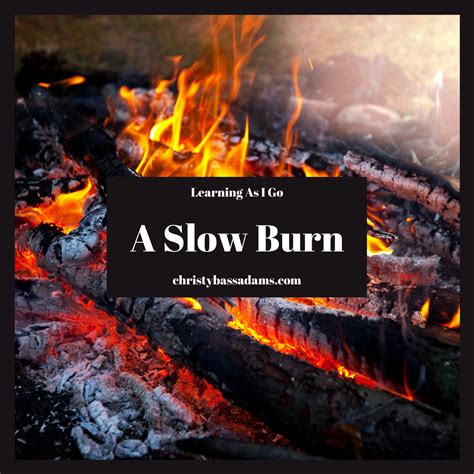 A Slow Burn - Christy Bass Adams