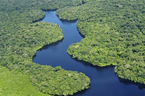 Cuál es el río más largo del mundo - 4 pasos