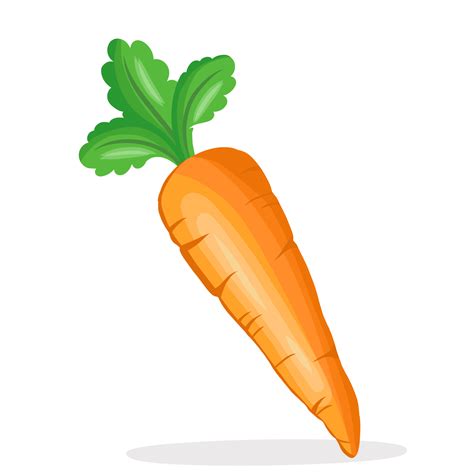 Carrot PNGs for Free Download