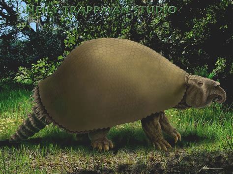 Glyptodon – ::FIRST FLORIDA FRONTIERS::