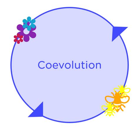 Coevolution — Definition & Examples - Expii