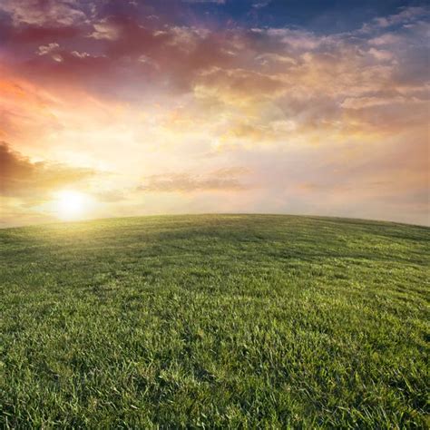 Grassy field sunset — Stock Photo © kevron2002 #30827593