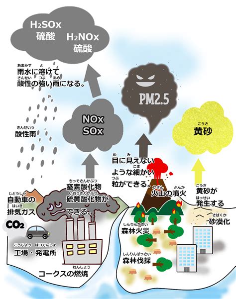 地球環境の保全 | 和歌山環境保全公社