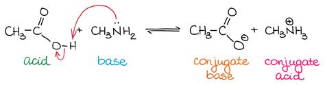 Bronsted-Lowry Theory — Organic Chemistry Tutor