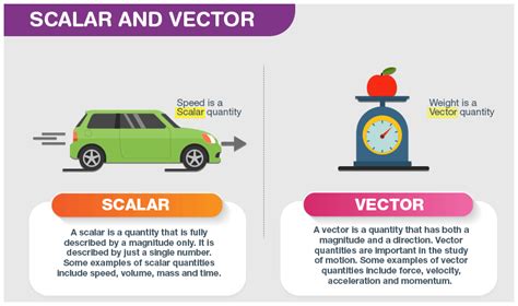 Physical Quantities, Scalars, Vectors, Distance, Displacement, Speed ...