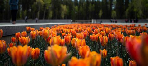 University of Alberta Botanic Garden | Family Fun Edmonton