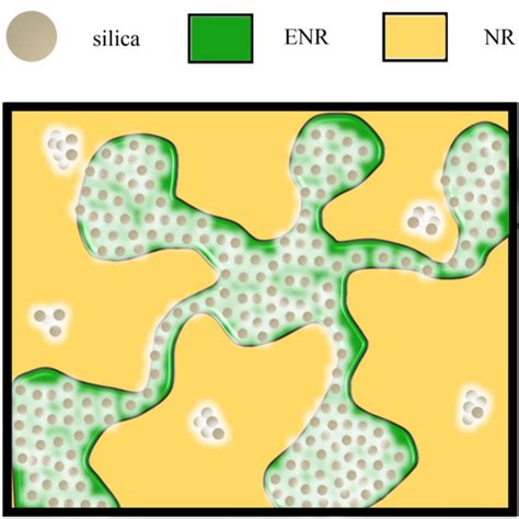 Performance enhancement of bio‐based rubber composites using epoxidized ...