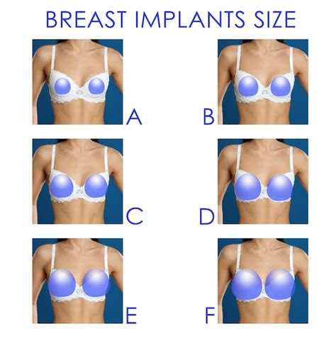 Bra Cup Size Comparison Pictures