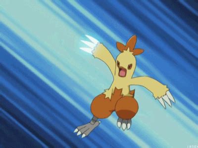 combusken pokemon gif | WiffleGif