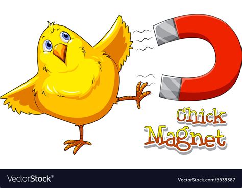 Chick magnet Royalty Free Vector Image - VectorStock