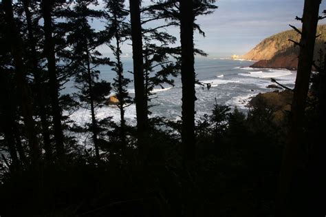 Ecola State Park hiking trail is back open, after nearly five years closed - oregonlive.com