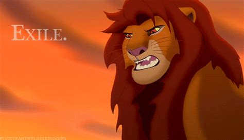 Informative Simba | The Lion King 2 - Simba’s Pride | Lion king pictures, Lion king, Lion king ...