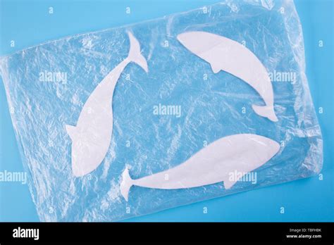 ocean plastic pollution issue. sea animals in plastic bag Stock Photo - Alamy