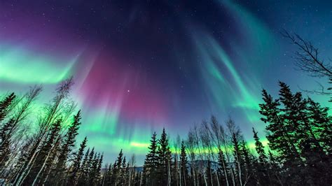 Northern lights: See aurora borealis across northern US states