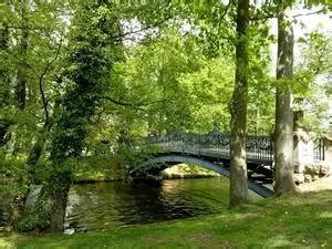 Bridge Liebesinsel Lake Background Wallpaper : Insert Your Photos, Text ID:69260