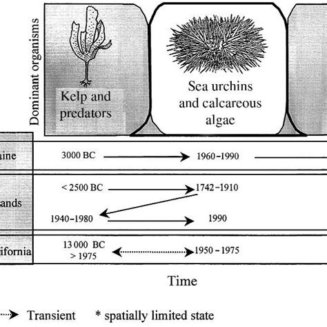 (PDF) Kelp Forest Ecosystems: Biodiversity, Stability, Resilience and ...