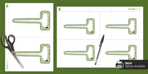 Root Hair Cell Printable Diagram | Biology | Beyond Science