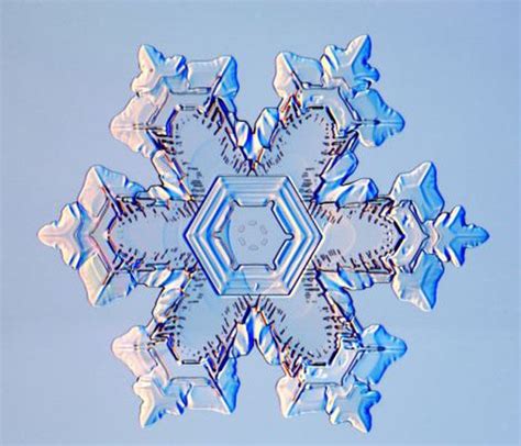The Beauty of Snowflakes Up Close (24 pics) - Izismile.com
