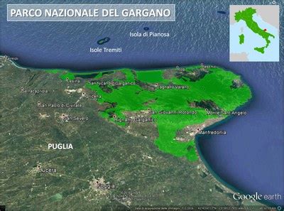 Parco Nazionale del Gargano — Italiano