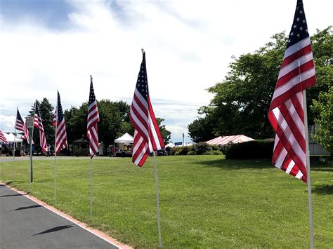 AMERICAN FLAGS SET OF 10 FLAGS